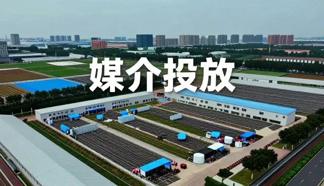 文案创作帮助客户实现文案创作目标